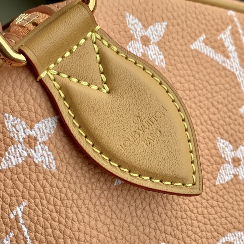 LV Speedy Bags